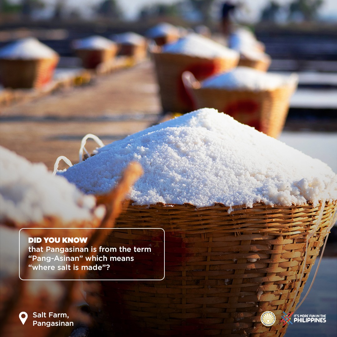 Business Loans <br> For Daily Expenses