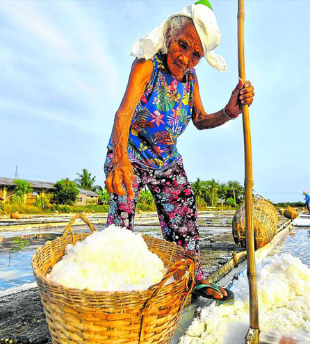 Salt Industry <br> Success Stories