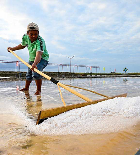 Salt Industry <br> Success Stories