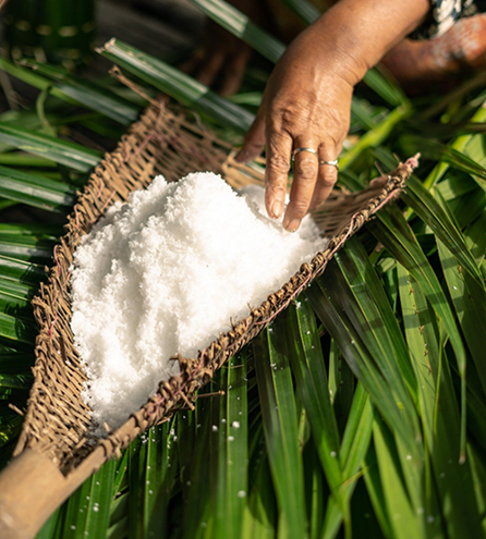 Salt Industry <br> Success Stories